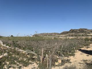 Residential Plot in Monforte del Cid