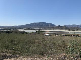 Terreny residencial a Monforte del Cid