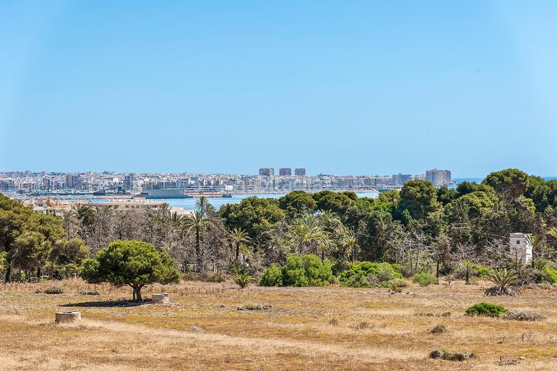 Foto 52a19093-e1a5-401a-9ed8-b64481aae5b8. Apartment in Punta Prima Orihuela