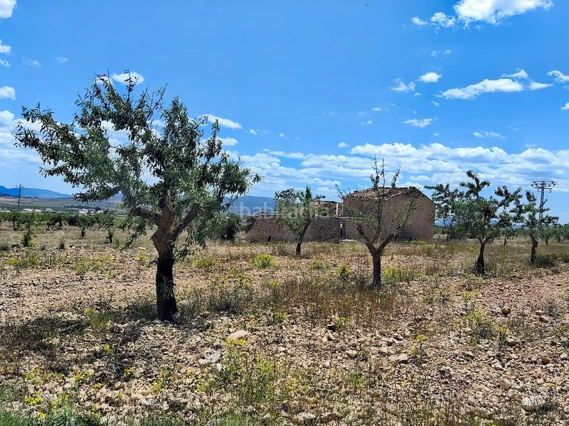 Foto e2d6d5f7-20bd-4a94-ae5a-70aded38e586. Casa a Pinoso
