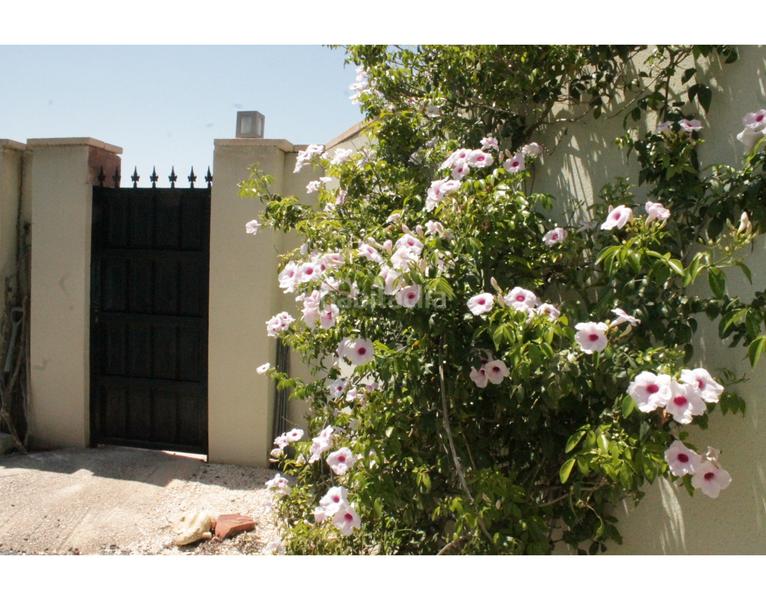 Foto 0e2d6cdf-7a8f-40e9-ae6c-4532dc30c428. Casa en Abanilla