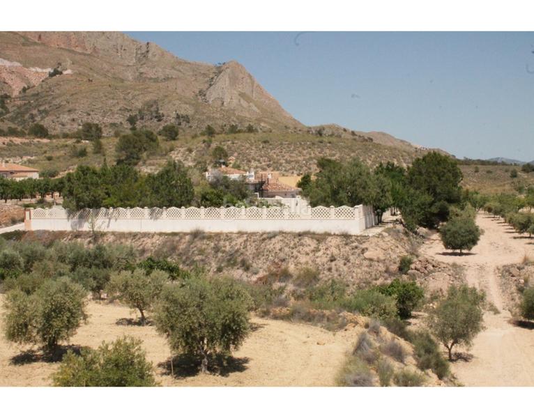 Foto 17ede4dc-1319-402c-8427-814185c2963c. Casa en Abanilla