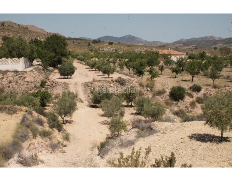 Foto a8482015-e2b7-4b04-9adc-d9ce4d6714ef. Casa en Abanilla