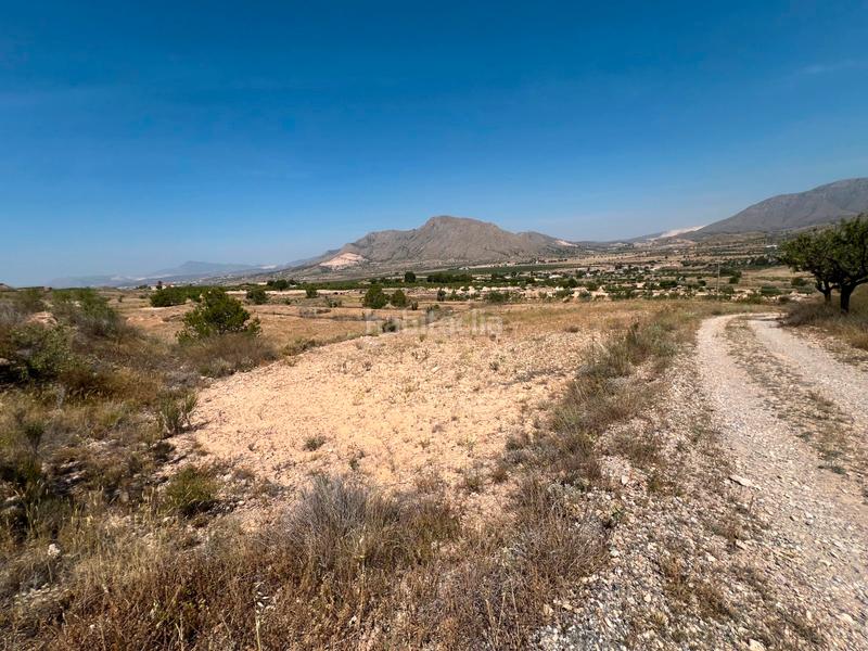 Foto 14a935dd-483e-4761-93c6-8329277fa051. Terreny residencial a La Murada - Los Vicentes Orihuela