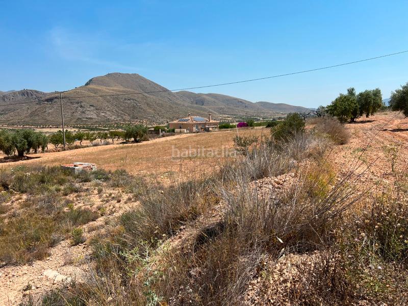 Foto c9a3544b-2b86-458c-bc16-24eed4728cdd. Terreny residencial a La Murada - Los Vicentes Orihuela