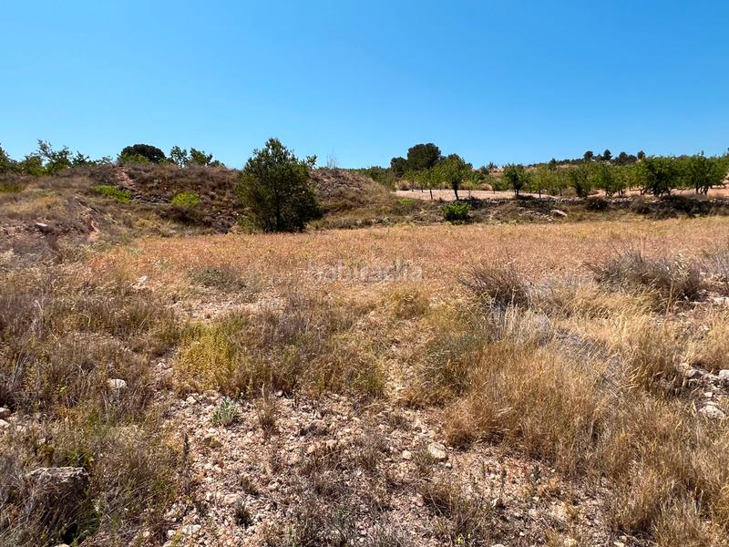 Foto e8ae7253-7a8b-4c9d-88d2-7413e0b68001. Terreny residencial a La Murada - Los Vicentes Orihuela