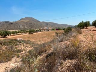 Residential Plot in La Murada - Los Vicentes