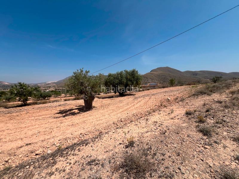 Foto 03d44781-0e2d-498d-9732-af3c867df9f8. Terrain résidentiel dans La Murada - Los Vicentes Orihuela