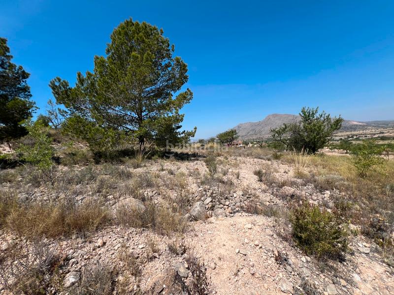 Foto 02e6eab0-6b48-450d-8240-578f7472e556. Terreno residenziale in La Murada - Los Vicentes Orihuela