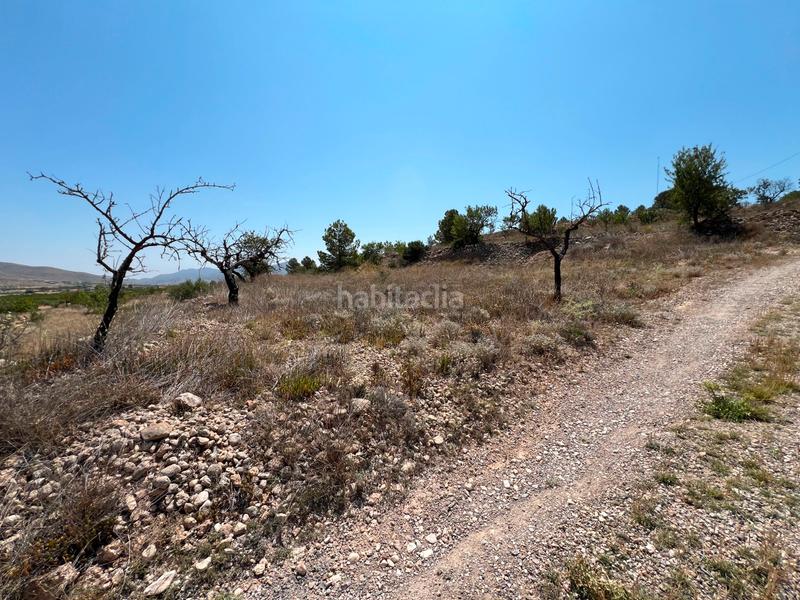 Foto b368f748-26aa-44ba-bdee-674c4f035a7f. Terreno residenziale in La Murada - Los Vicentes Orihuela