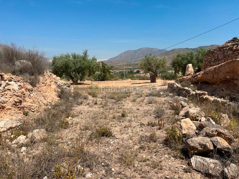 Foto bbf9f0a4-65e1-49ac-b5ef-a9f0a371a4a4. Terreno residenziale in La Murada - Los Vicentes Orihuela