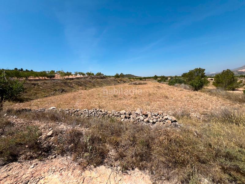 Foto be6336af-1389-48e3-aeb5-7baaa4284433. Terreno residenziale in La Murada - Los Vicentes Orihuela