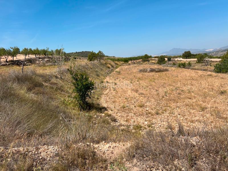 Foto 2063a293-eae7-4a3a-910b-9a0d61cefb26. Wohngrundstück in La Murada - Los Vicentes Orihuela