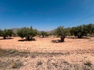 Residential Plot in La Murada - Los Vicentes
