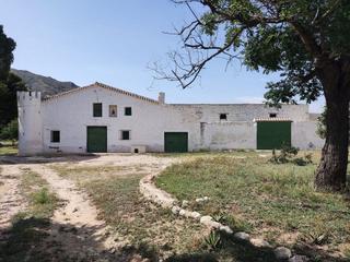 Country house in Yecla