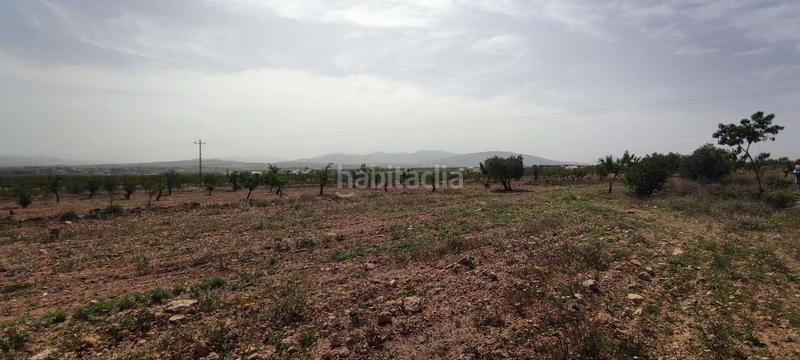 Foto 0f13d688-35f0-4f75-b058-a38d978f8c9c. Masia a Pinoso