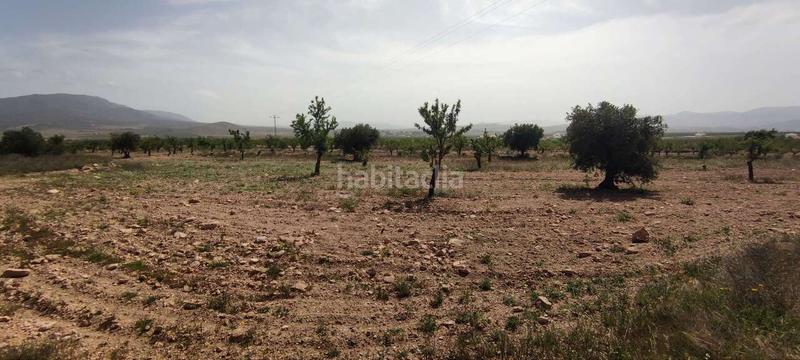 Foto 41bbdbe8-f91d-405e-a9e3-584757ccf948. Masia a Pinoso