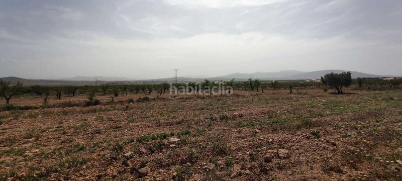 Foto 54c8c89f-5a0d-46db-ba75-b73d89e4cd95. Masia a Pinoso