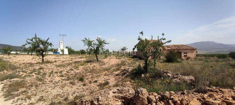 Foto 9278a597-7d8a-441e-ac53-c64b56f1ac0a. Masia a Pinoso