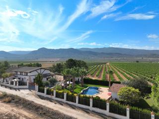 Country house in Yecla