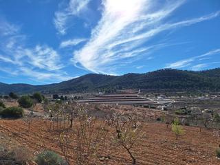 Residential Plot in Pinoso