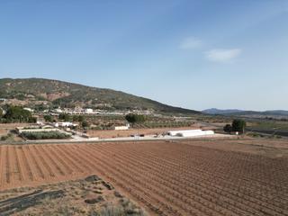 Residential Plot in Pinoso