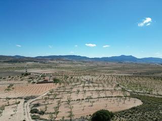 Terreny residencial a Jumilla