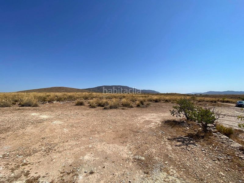 Foto 0d251a13-097d-4cdf-ba0d-236772035560. Casa amb aparcament a Pinoso