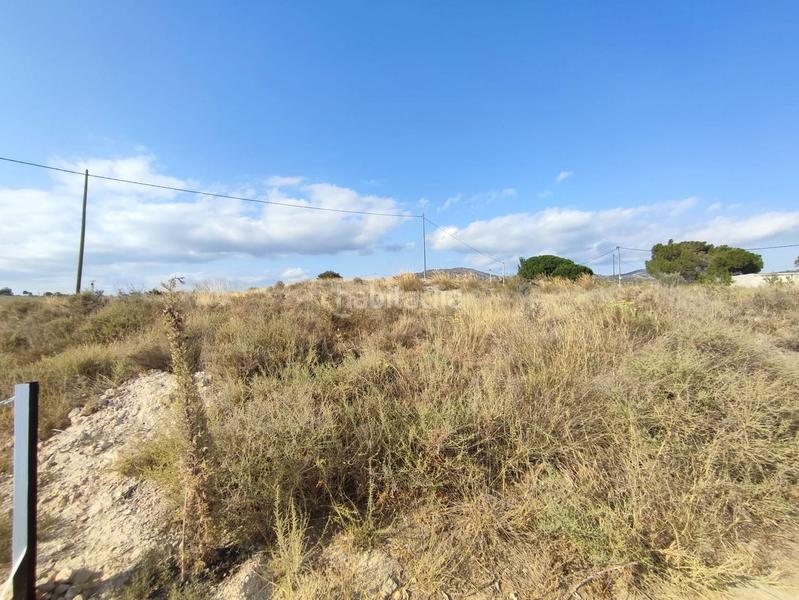 Foto 17b88cdf-ee43-47f9-9548-5a6e6d40bf39. Terreno residencial en Sax