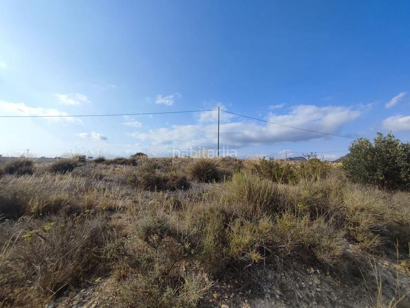 Foto 1b98bd43-509a-445b-85b6-c32ac0518406. Terreno residencial en Sax