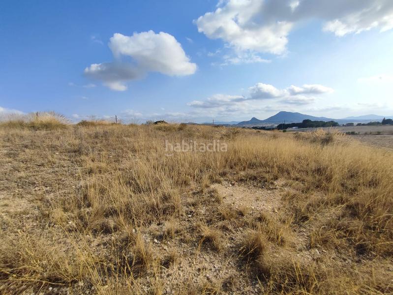 Foto 4f988f61-d507-4ace-92d1-040c05e5d24b. Terreno residencial en Sax