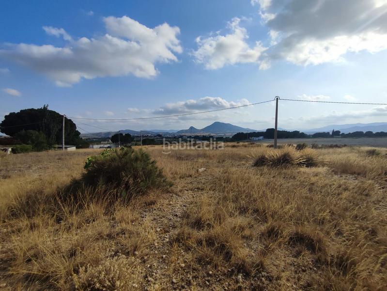 Foto daf2b650-0554-4021-abfa-6d10725dfae7. Terreno residencial en Sax