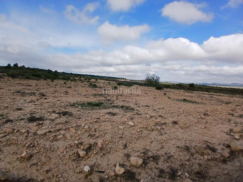 Foto 268d0fd0-dd8f-4a31-a38d-452a8302eccf. Terreny residencial a Yecla