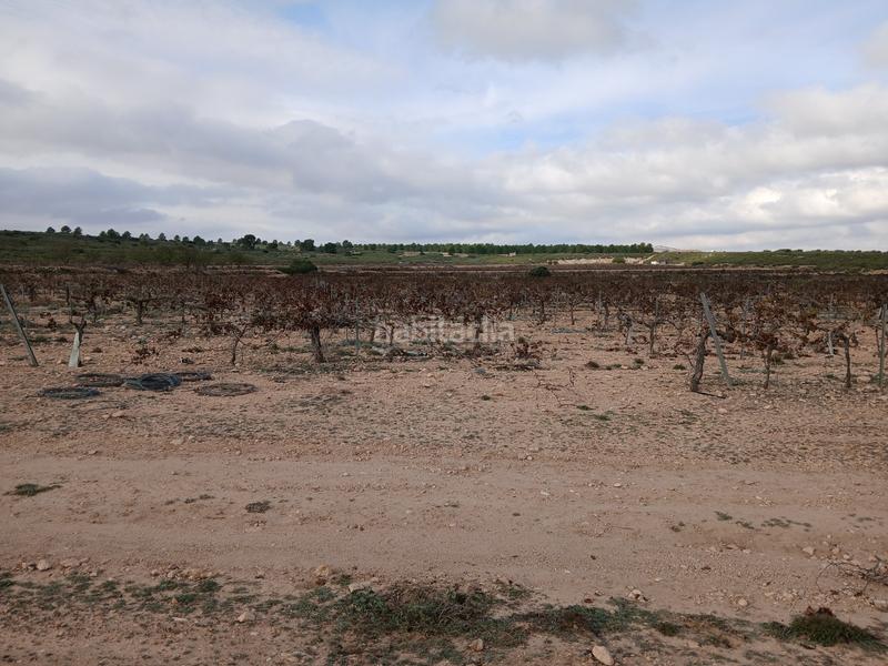 Foto 38d954a1-0477-4a85-bc6f-6e2ee6d00c08. Terreny residencial a Yecla