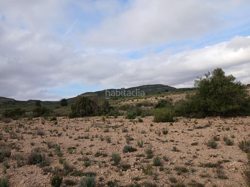 Foto 4eea0ec5-64fb-4f59-9b5f-b1afdf0e7a7c. Terreny residencial a Yecla