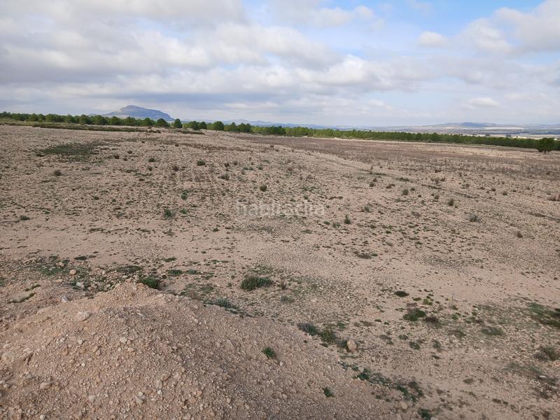 Foto 60228d88-bef2-424e-855c-139505438f30. Terreny residencial a Yecla