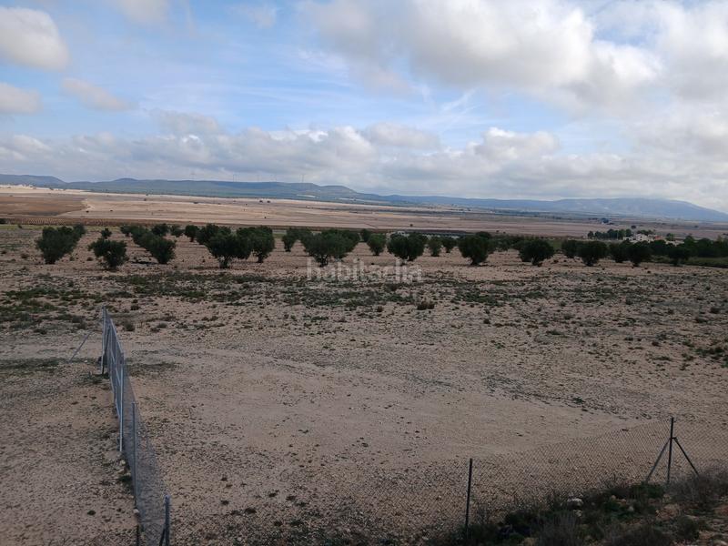 Foto 6fec7342-e22f-4521-92f6-afe449fc0ff1. Terreny residencial a Yecla