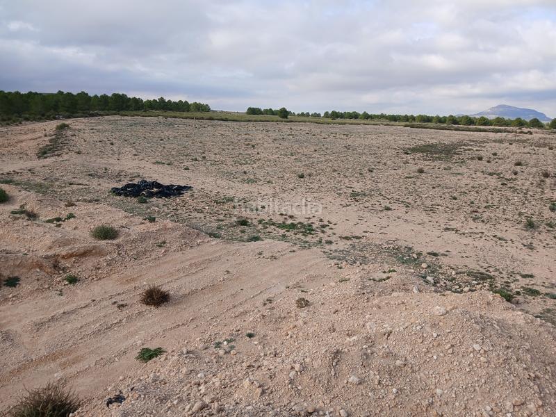 Foto 721bc207-f035-449d-803f-9857e6b07259. Terreny residencial a Yecla