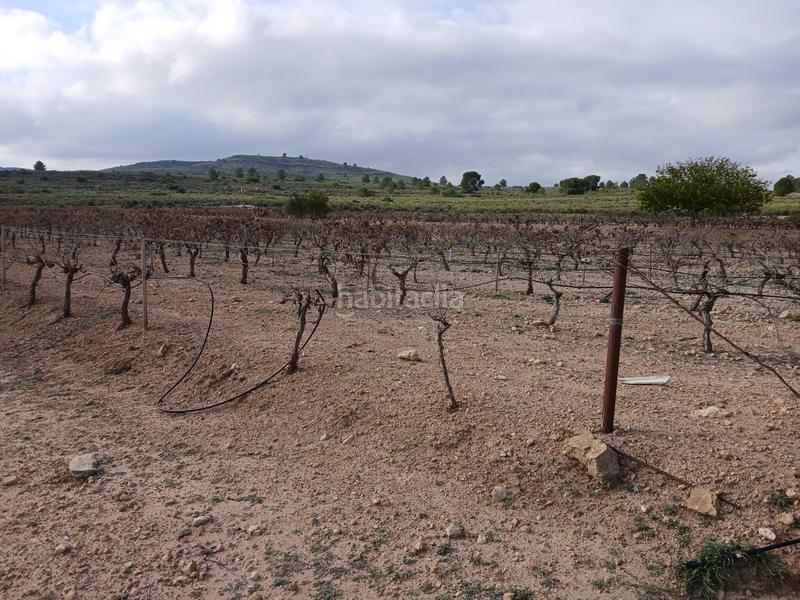 Foto 760ab91d-086f-44db-9749-2058b5acf78b. Terreny residencial a Yecla