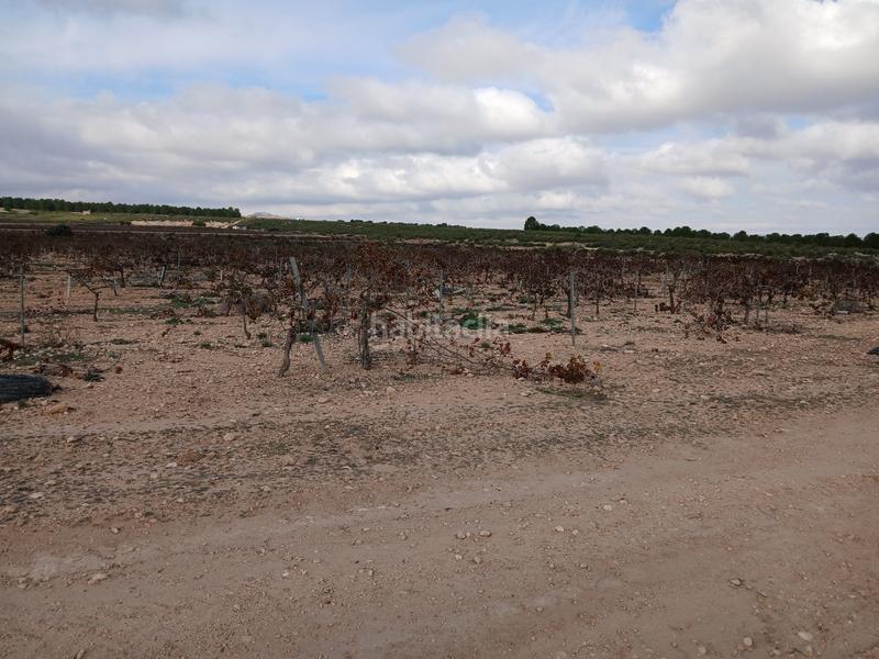 Foto 84619d0c-2007-49c5-ace3-a97908255d9a. Terreny residencial a Yecla