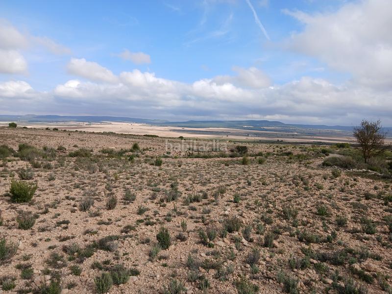 Foto 8e16f2b4-7c0b-4e20-94ed-71e0b2b4b880. Terreny residencial a Yecla