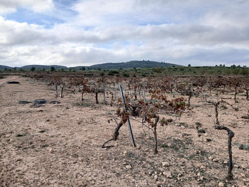 Foto 9b3ab7d7-9ee9-4ea6-9453-005dadd372f7. Terreny residencial a Yecla