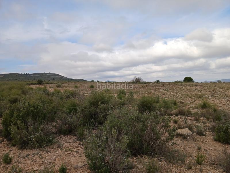 Foto a27380a6-5ad5-4bb3-9753-59e3eb634f84. Terreny residencial a Yecla