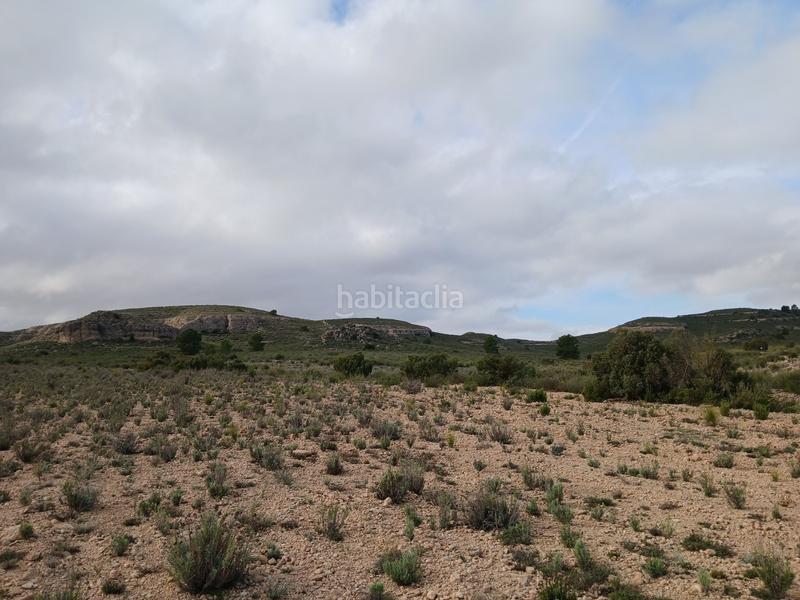 Foto a6a1ba06-b8a8-4244-84df-a9bb258a4be2. Terreny residencial a Yecla