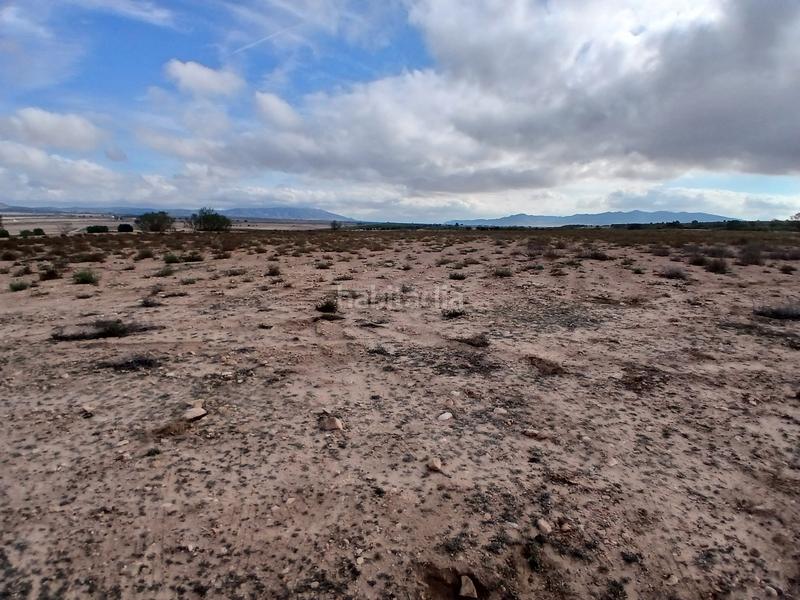 Foto a6ed3b6e-2a08-4350-bdcb-e70b83b68e4d. Terreny residencial a Yecla
