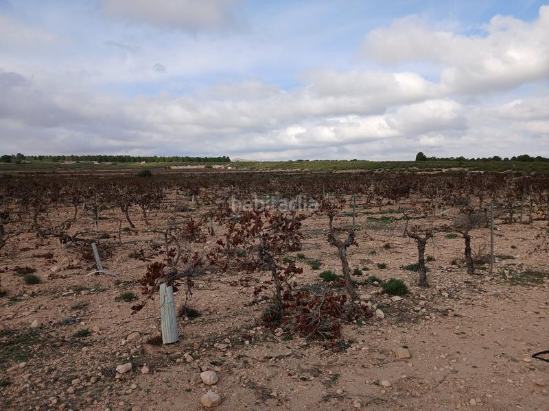 Foto bf4d731d-0e71-454d-9eb0-f7f63a2b7c52. Terreny residencial a Yecla