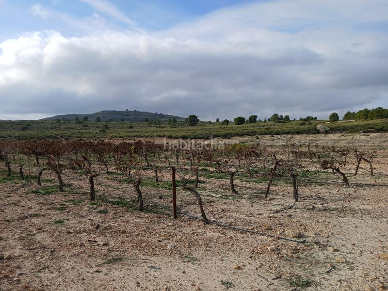 Foto c3f5b3ed-eade-4816-adf1-9ac6543259a3. Terreny residencial a Yecla