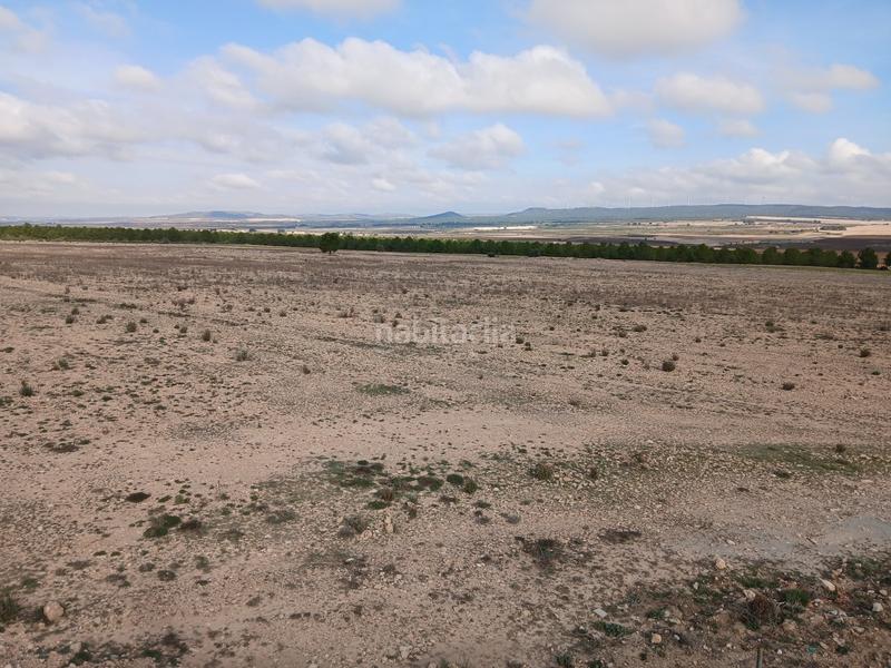 Foto cc7abe22-d345-4a82-9170-f94201a32bcf. Terreny residencial a Yecla