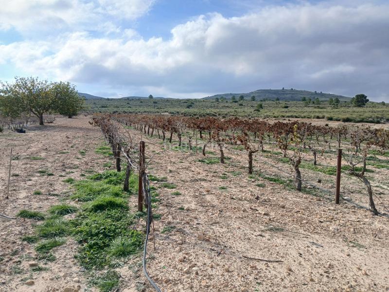 Foto d66122eb-b37b-41cd-9d24-03d33da7b11a. Terreny residencial a Yecla