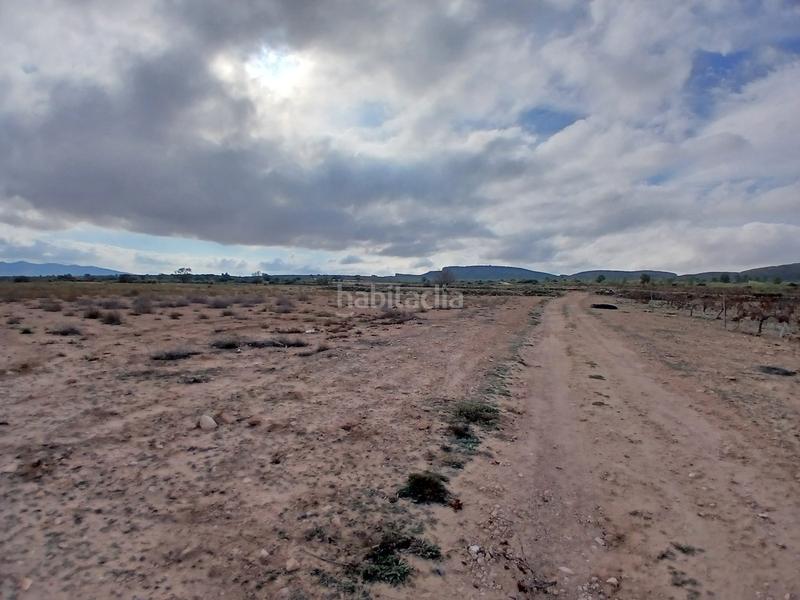 Foto fa60eff9-7396-47b0-9710-80920685c21d. Terreny residencial a Yecla
